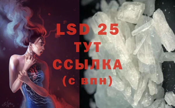 стаф Белокуриха
