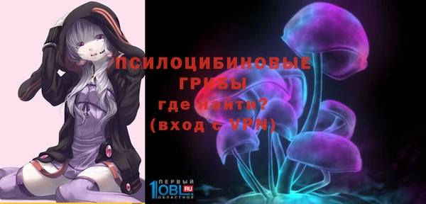 стаф Белокуриха
