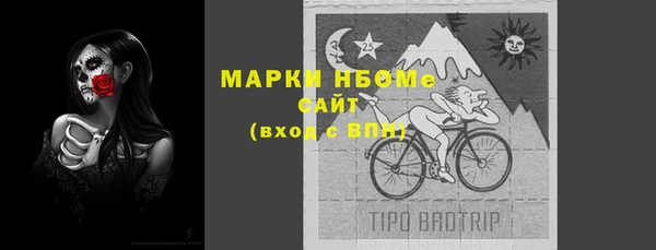 стаф Белокуриха