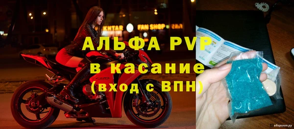 стаф Белокуриха