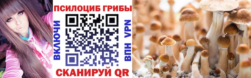 Псилоцибиновые грибы Magic Shrooms продажа наркотиков Плёс