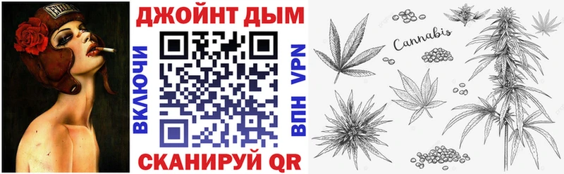 Бошки Шишки VHQ купить Плёс